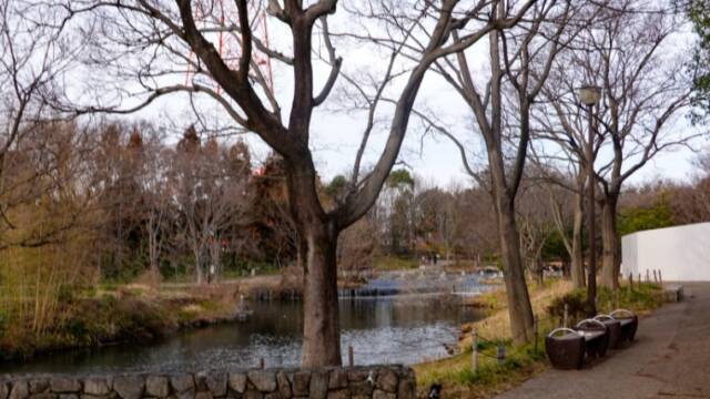 木曽川水園　中の池